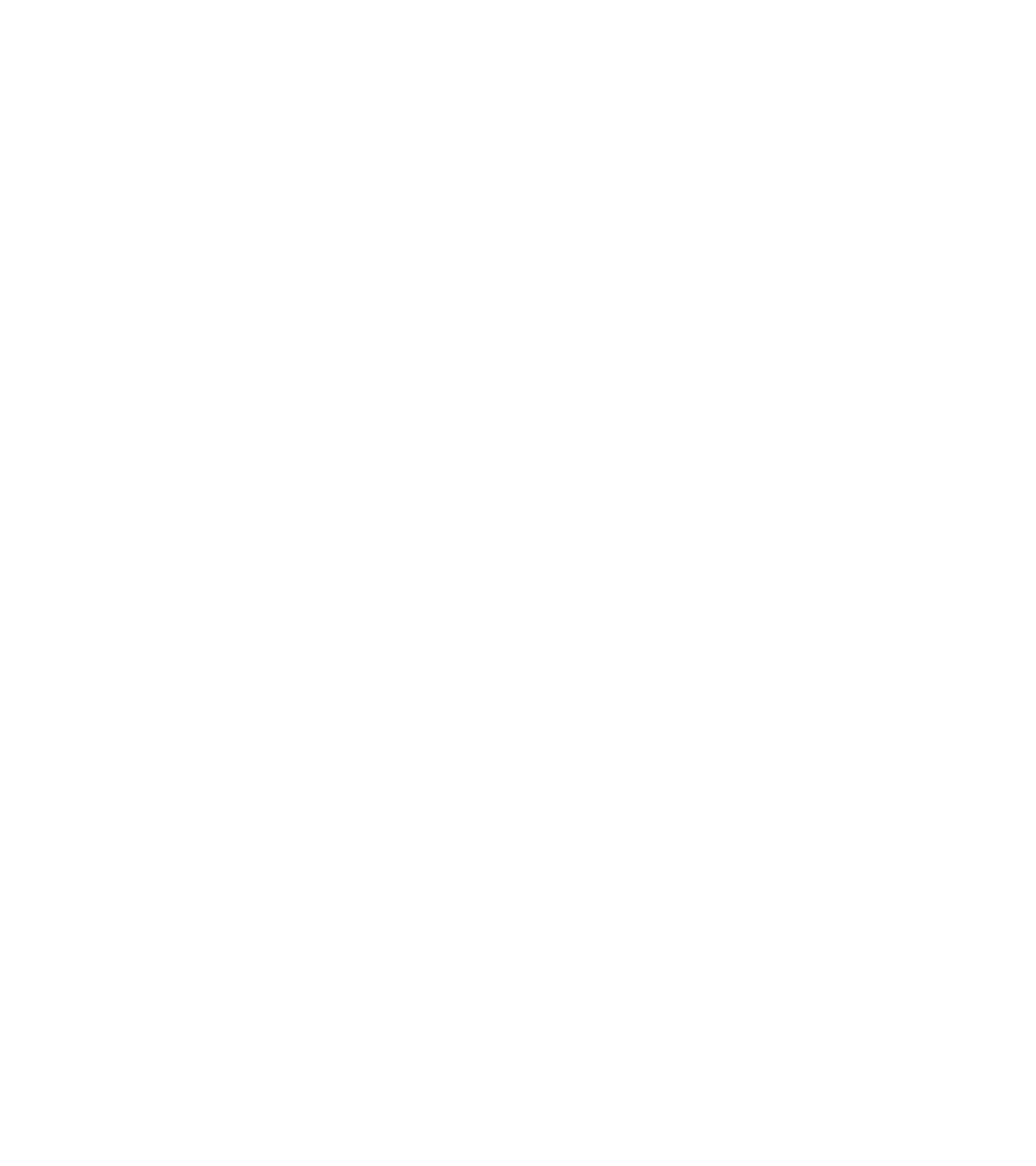 El nuevo petróleo
